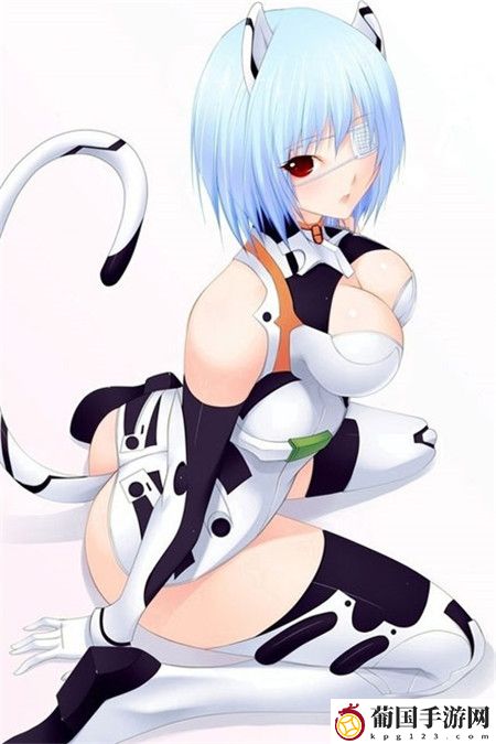 精产国蘑菇产品区