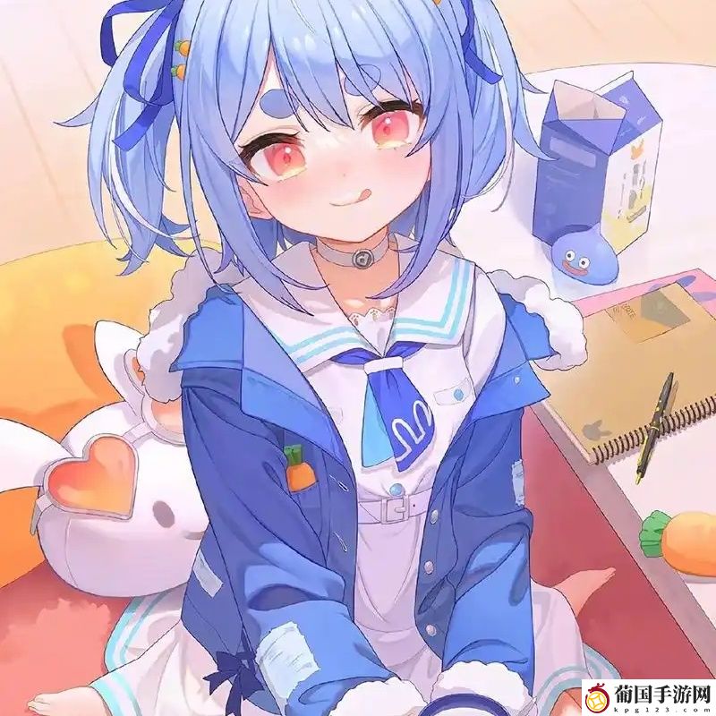 金砖弱网