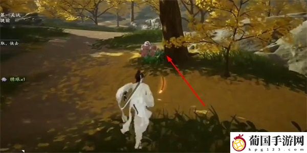 射雕绣球八仙位置介绍