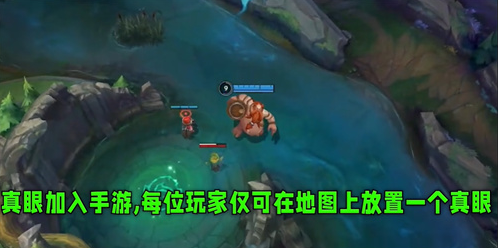英雄联盟手游控制守卫是什么
