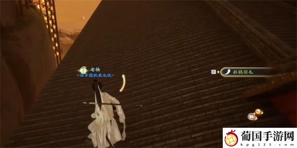 射雕杜鹃尾羽收集攻略
