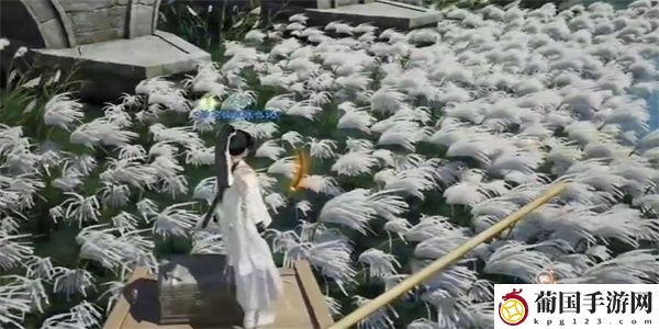 射雕梅花肯瓷获得方法
