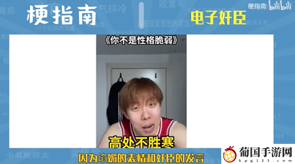 电子奸臣网络用语意思介绍
