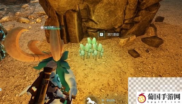幻兽帕鲁V0.2.0.6新增道具介绍