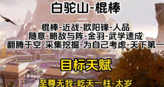 射雕心法怎么选