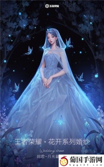 王者荣耀婚纱皮肤价格多少